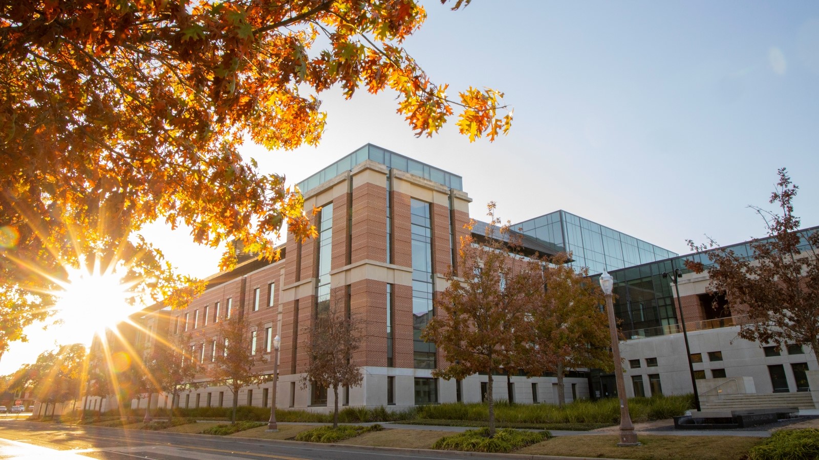 sunlight breaking through yellow leaves near the Foster Campus building where the Business School is housed
