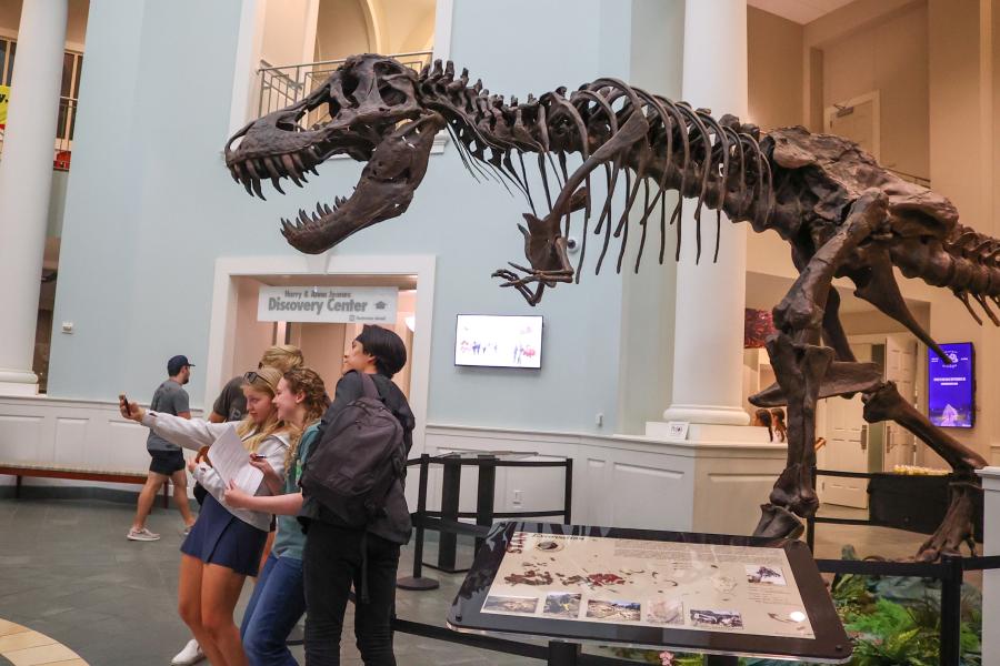 A small team of management students look for something in the museum while a giant T-Rex skeleton looms over them