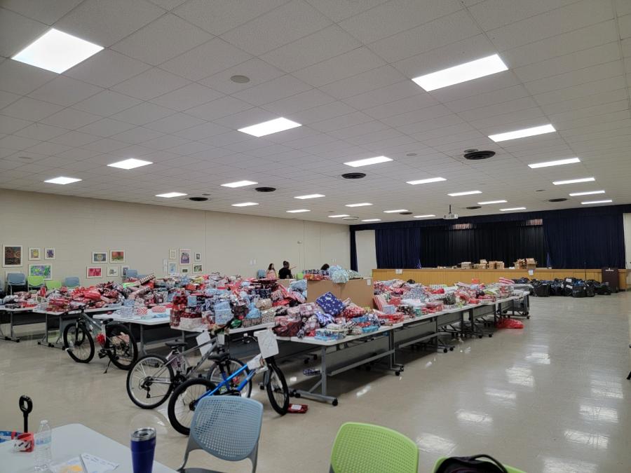 Army-Baylor volunteer activities
