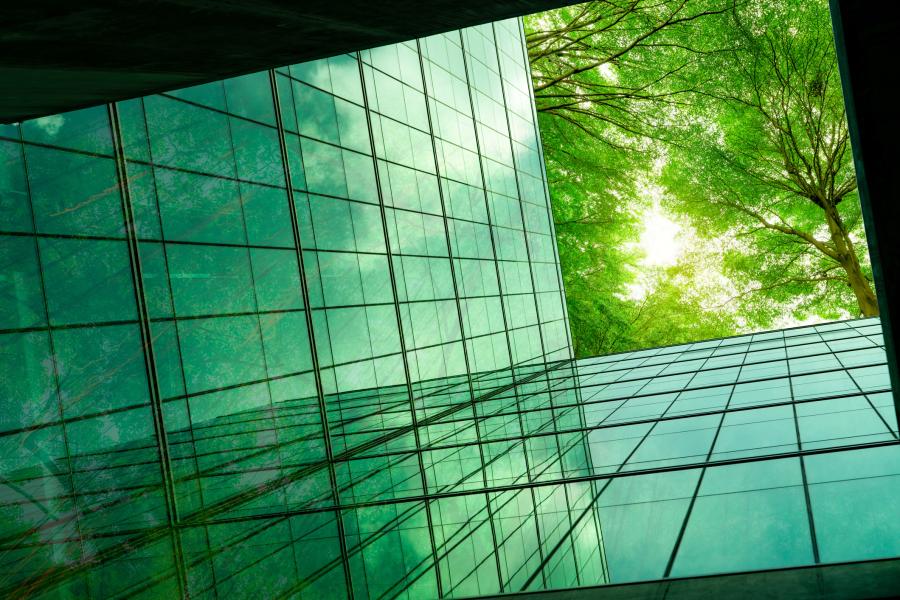 How a Baylor MBA Prepares Leaders for Sustainable Business Success 